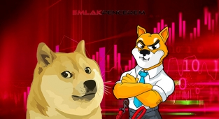 Shiba Inu ve Dogecoin fiyatı Çin yasakları ile sert düştü! DOGE, SHIB 24 Eylül fiyat analizi
