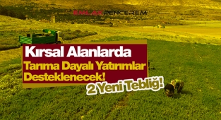 2021 Kırsal kalkınma ve tarıma dayalı ekonomik yatırımların desteklenmesine ilişkin 2 yeni düzenleme