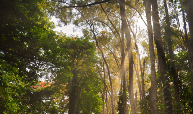 İstanbul'da bu 2 ilçede 3 alan için flaş karar