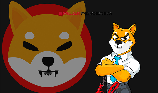 Shiba Inu (SHIB) coin son 24 saatte en çok işlem yapılan kripto varlık oldu! SHIB USDT işlem hacmi %553 oranında arttı