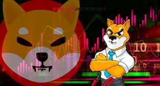 Shiba Inu (SHIB) neredeyse yüzde 100'e yakın sıçradı! SHIB coin fiyatı bugün ne kadar?