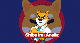 Shiba Inu (SHIB) son 5 günün en yüksek seviyesinde! SHIB coin fiyat, grafik teknik analiz ve yorumlar