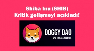 Shiba Inu (SHIB) kritik gelişmeyi açıkladı! Doggy Dao resmen başlıyor...