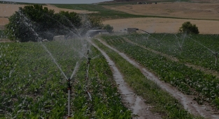 Tarım arazileri hakkında flaş gelişme