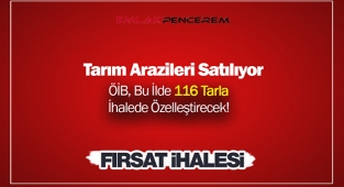 Tarım için arsa arayanlar için fırsat! Adana'da 116 tarım arazisi ihalede satılacak...