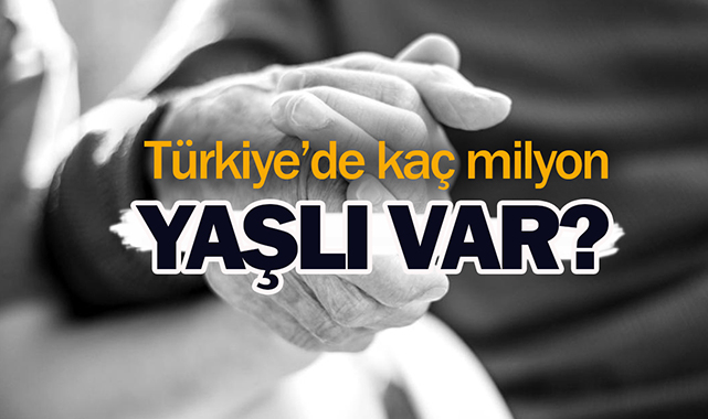 Türkiye'de kaç milyon yaşlı var?