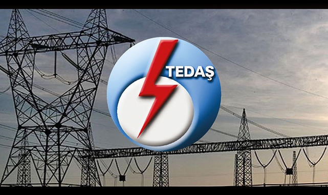TEDAŞ 13 ilde kamulaştırma başlattı