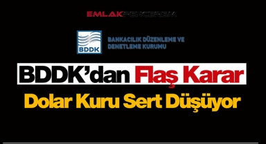 BDDK kritik kararı sonrasında Dolar kurunda sert düşüş başladı! 1 Dolar ne kadar oldu?