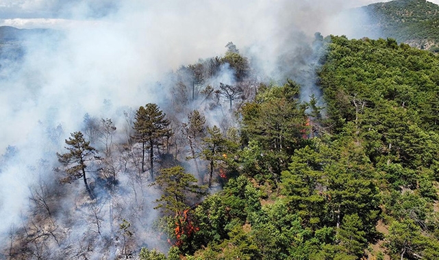 Ormanlık alanlar yasaklanmaya başladı! Balıkesir'de ormanlık alanlara yasak getirildi...