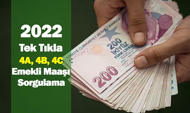 4A, 4B, 4C 2022 emekli maaşı hesaplaması tek tıkla hızlı hesaplama! emekli maaş hesaplama, sorgulama nereden nasıl yapılacak?
