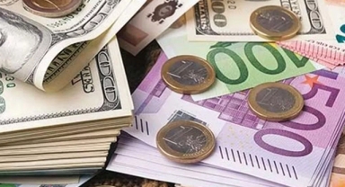 Bazı varlıkların ekonomiye kazandırılması kapsamında yeni yönetmelik Resmi Gazete'de
