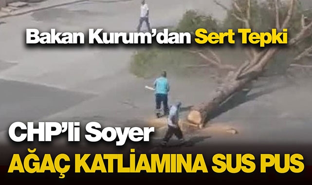 CHP'li İzmir Büyükşehirin ağaç katliamına Bakan Kurum sessiz kalmadı! Yerine yenilerini dikeriz