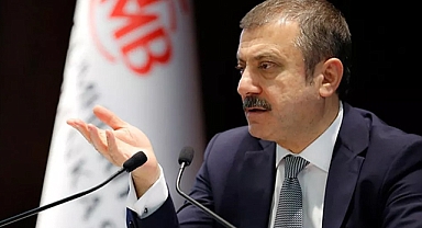 Şahap Kavcıoğlu, Liralaşma stratejisini anlattı