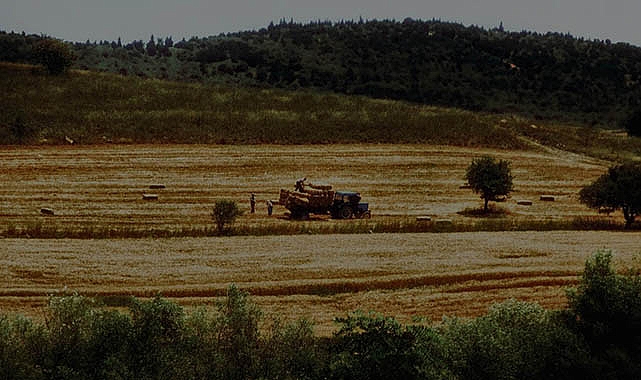 Çanakkale ve Gümüşhane'de arazi toplulaştırma kararı Resmi Gazete'de