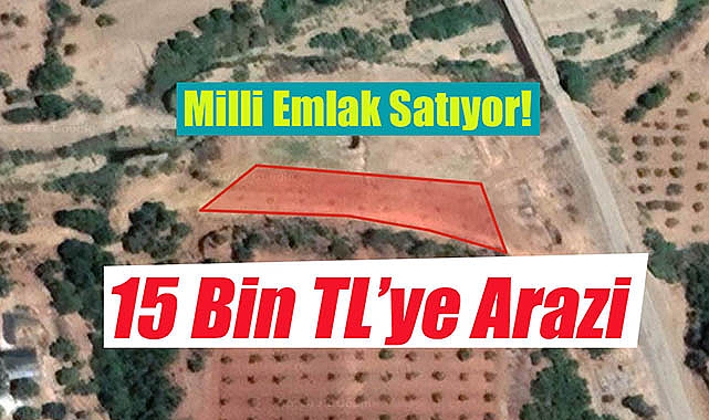 Milli Emlak, Aydın'da 15 Bin TL'ye arsa satacak! Bu fiyata başka yok...