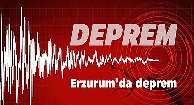 Erzurum'da korkutan deprem! Aşkale'de 4.3 büyüklüğünde deprem meydana geldi
