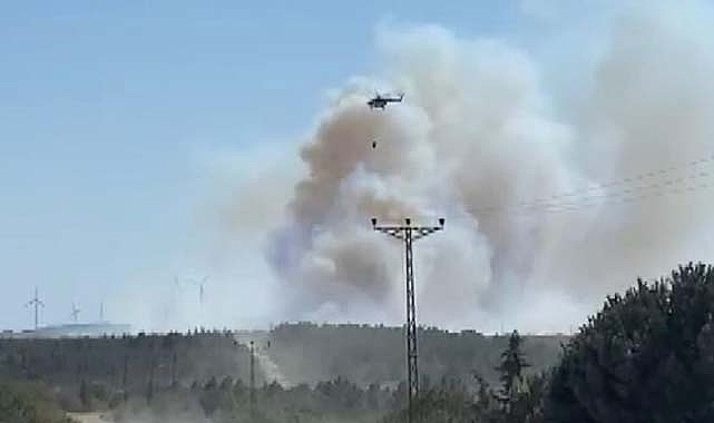 İstanbul'da Silivri ilçesinde orman yangını