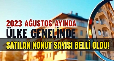 2023 Ağustos ayında kaç konut satıldı? Konut satışları belli oldu