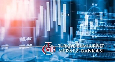 4 ödeme hizmeti şirketin faaliyet kapsamı genişletildi, 1 şirketin faaliyet izni durduruldu