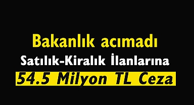 Bakanlık acımadı! Kiralık-Satılık emlak ilanı veren 545 kişiye 54.5 Milyon ceza