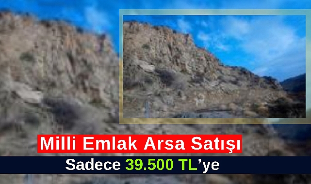 Milli Emlak 39.500 TL'ye arsa satıyor! Ankara'da o ilçede doğa manzaralı arsa ihalesi...