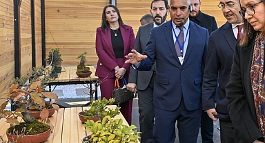 Yalova Bonsai Müzesi Açıldı
