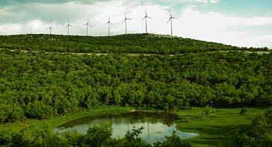 Polat Enerji, Rüzgâr Enerjisinin Önemine Dikkat Çekiyor