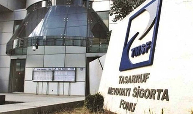 TMSF elindeki üç şirketi ihalede satacak!