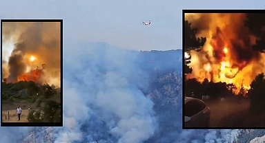 Denizli'de 3 gündür söndürülemeyen orman yangını...