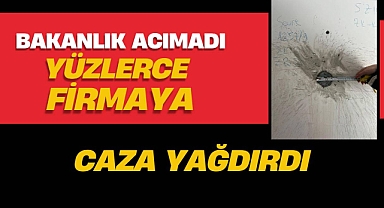 Bakanlık Yapı Denetim Firmalarına acımadı! Yüzlercesine ceza üstüne ceza yağdırdı...