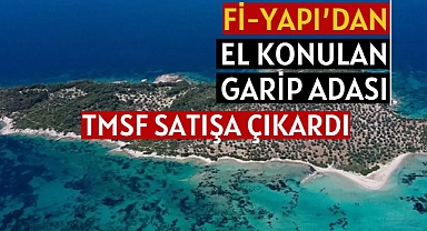 Fi Yapı'dan TMSF'ye geçen 357 dönümlük Garip Adası icradan satışa çıkarıldı