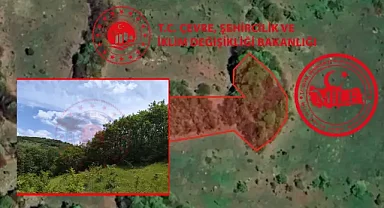 Milli Emlak duyurdu: Bu ilde 140 Bine satılık arsa