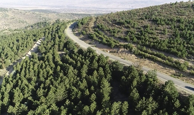 Bu 12 ilde bazı ormanlık alanların sınırları değiştirildi