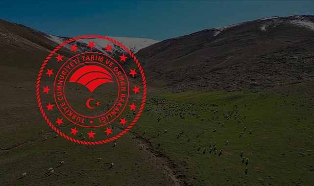 Mera Yönetmeliği değişti