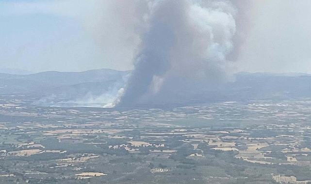 Çanakkale Ezine'de çıkan yangın hakkında Valilik açıklama yaptı