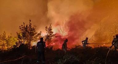 Hasat mevsiminde orman yangını alarmı verildi!