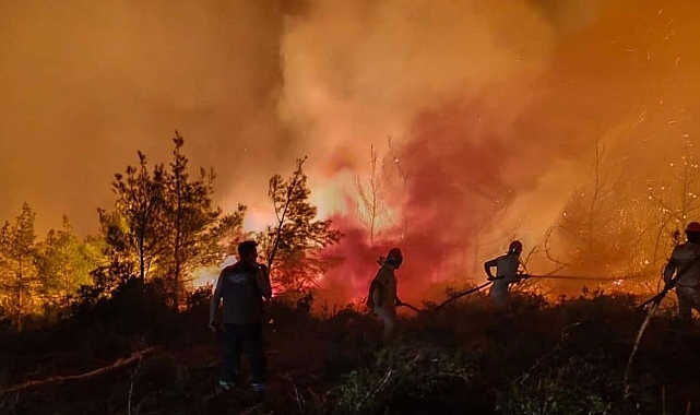 Hasat mevsiminde orman yangını alarmı verildi!