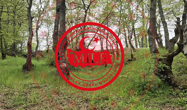 Milli Emlak Duyurdu: Balıkesir’de Arsa Fırsatı! 1.150 m² Arsa 222 Bin TL...