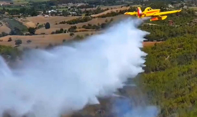 Orman Yangınları hakkında OGM'den açıklama