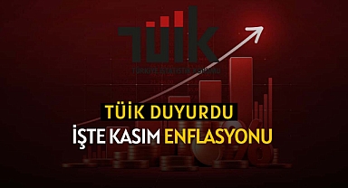 2025 Kasım ayı enflasyon rakamları TEFE-TÜFE açıklandı