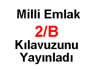 Milli Emlak 2B arazi satışları için kılavuz yayınladı işte 2b satışları için gereken bilgiler