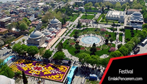 Dünyanın en büyük canlı lale halısı Sultanahmet Meydanı'nda (İstanbul 2016 Lale Şenlikleri)