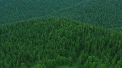 2026 Çevre Kanunu para cezaları belli oldu