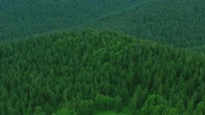 2026 Çevre Kanunu para cezaları belli oldu