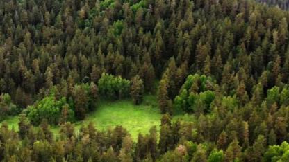 İzmir ve Yozgat'ta arazi toplulaştırması