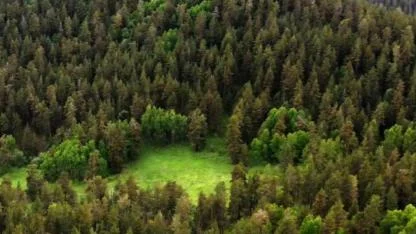 İzmir ve Yozgat'ta arazi toplulaştırması