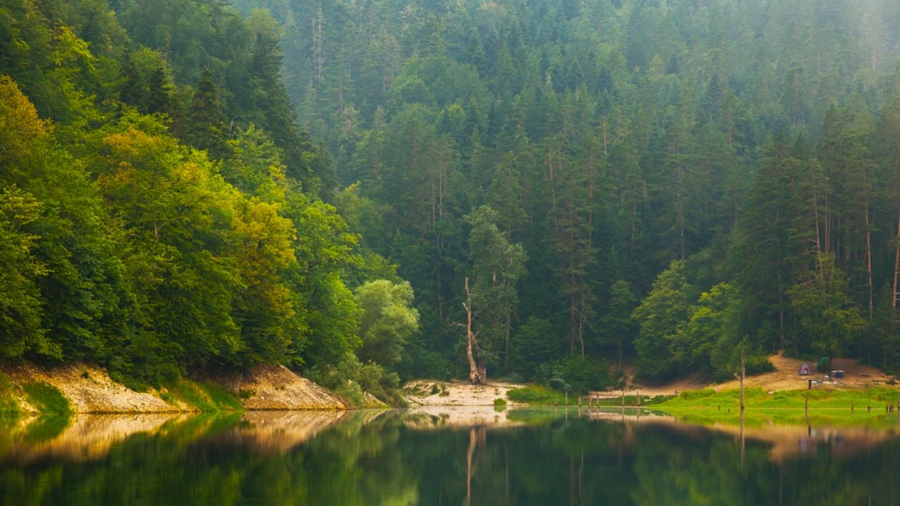 Milli parklar ve doğa koruma düzenlemesi kabul edildi